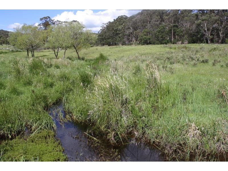 Tenterfield NSW 2372