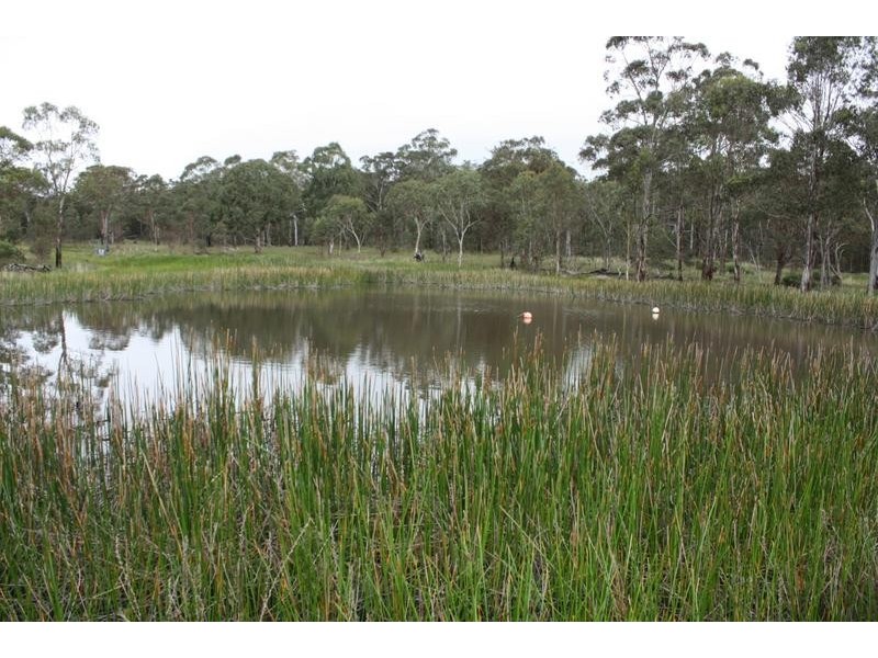 Tenterfield NSW 2372