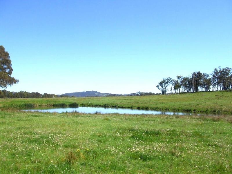 Tenterfield NSW 2372