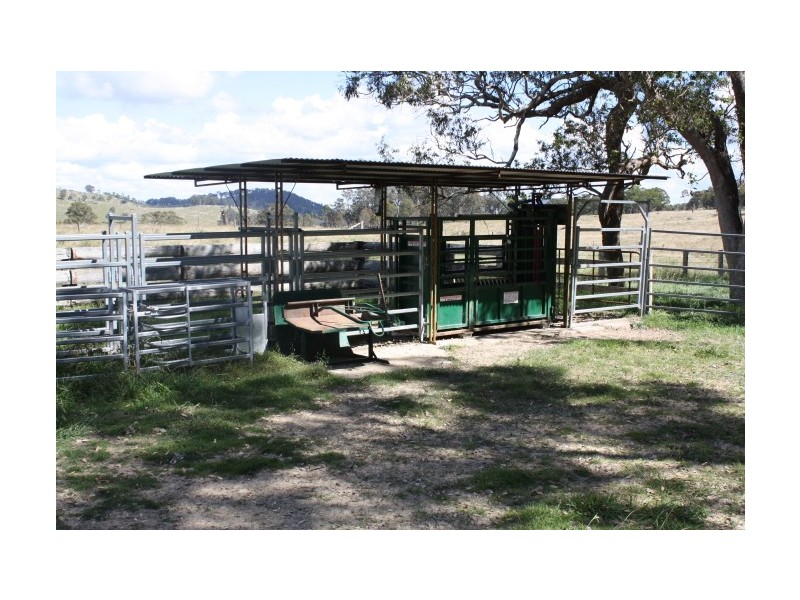 Tenterfield NSW 2372