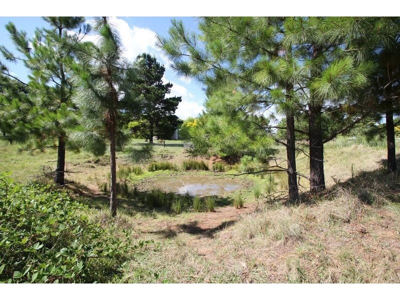 Lot 2, East Street, Tenterfield NSW 2372