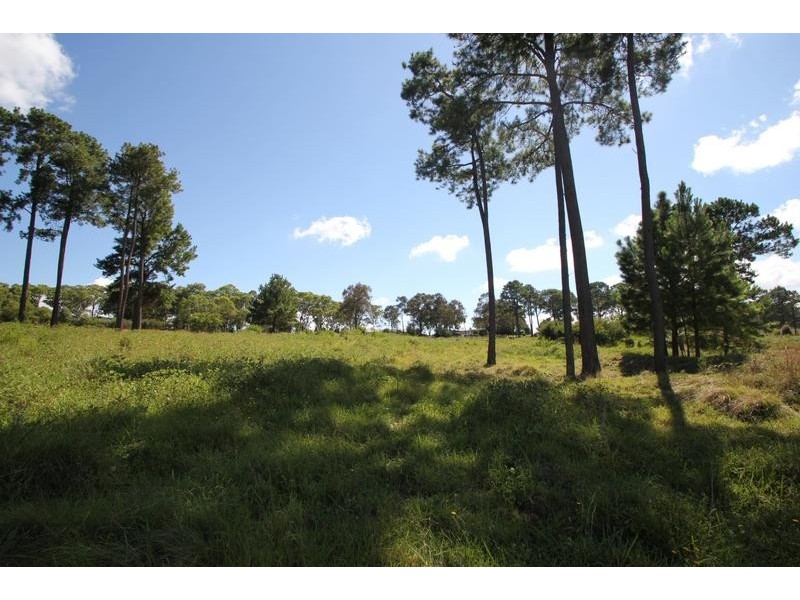 Lot 2, East Street, Tenterfield NSW 2372