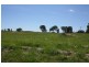 Tenterfield NSW 2372