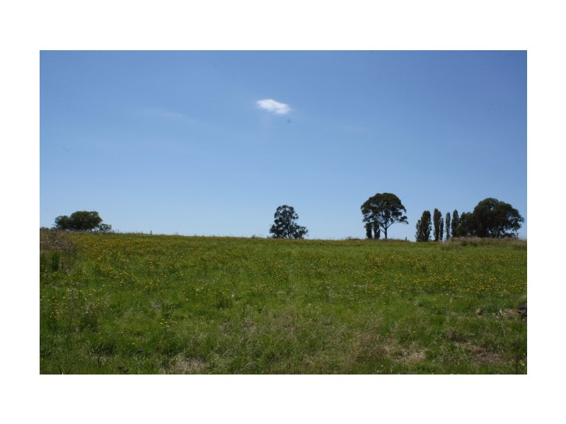 Tenterfield NSW 2372