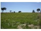 Tenterfield NSW 2372