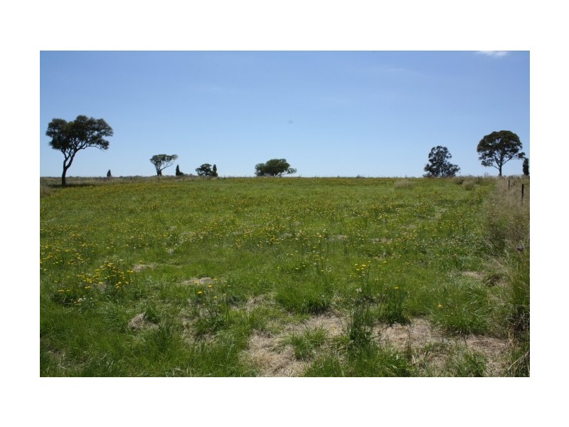 Tenterfield NSW 2372
