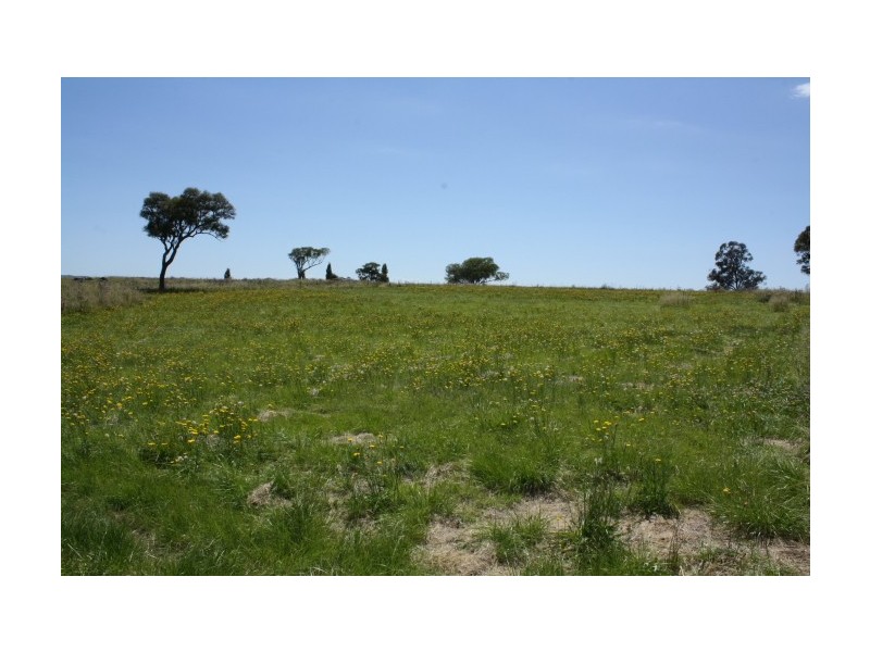 Tenterfield NSW 2372