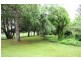 Tenterfield NSW 2372