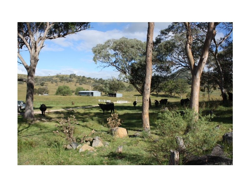 Tenterfield NSW 2372