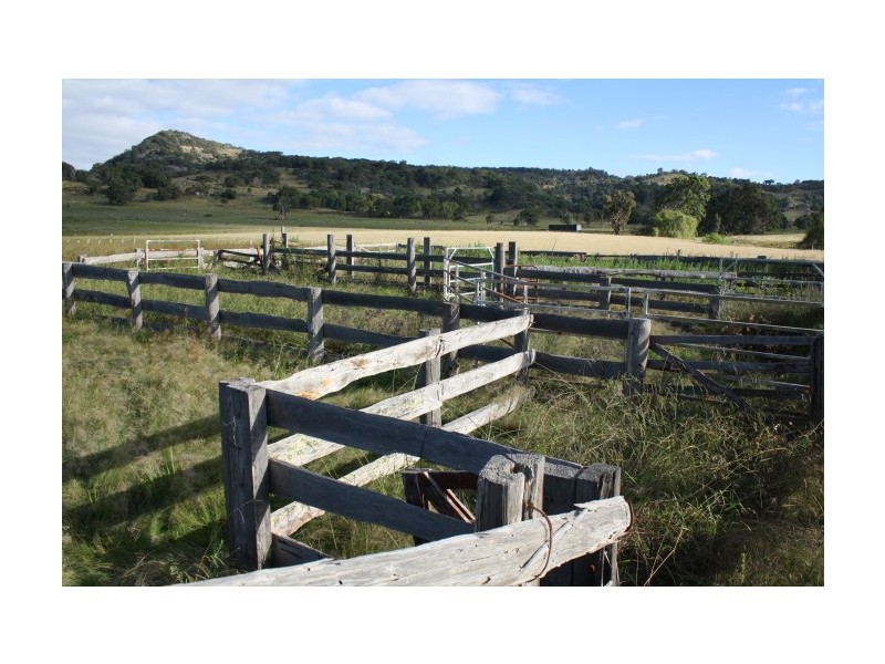 Tenterfield NSW 2372