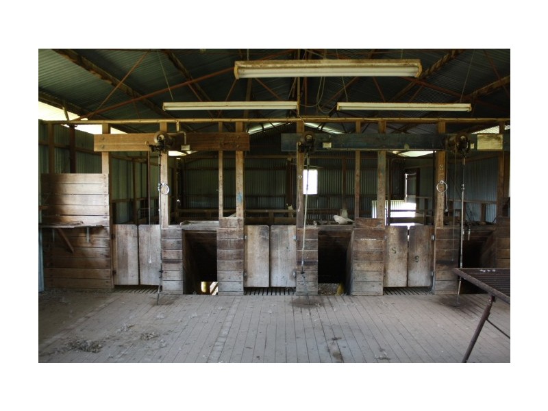 Tenterfield NSW 2372