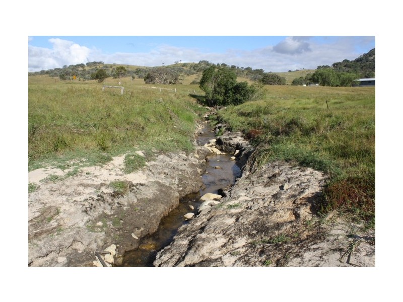 Tenterfield NSW 2372