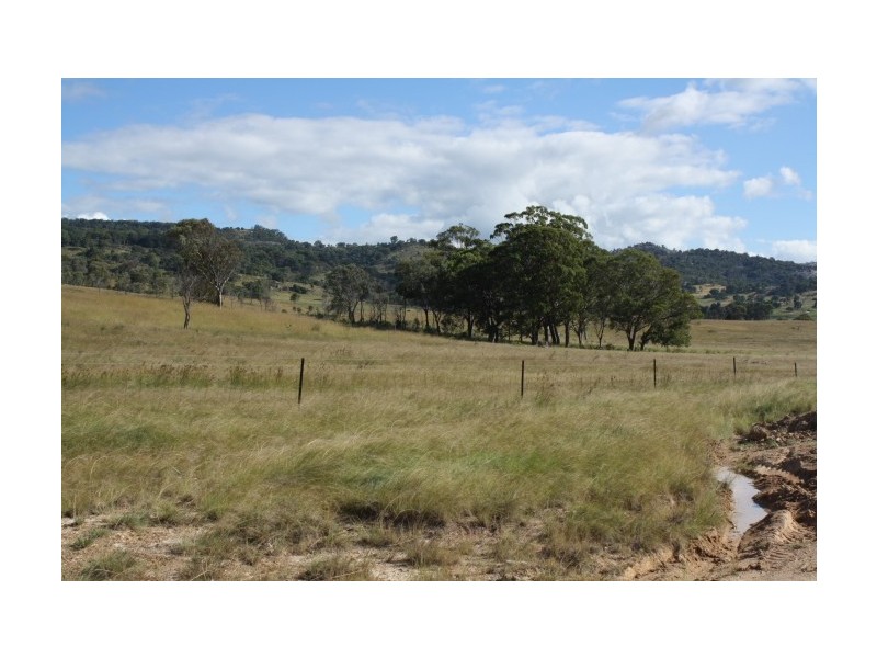 Tenterfield NSW 2372