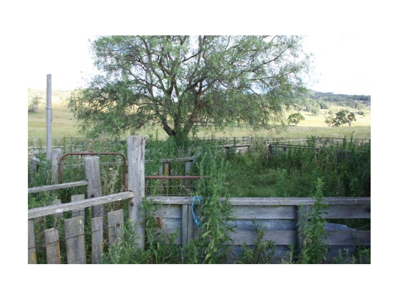 Tenterfield NSW 2372