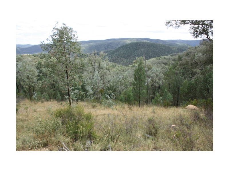 Tenterfield NSW 2372