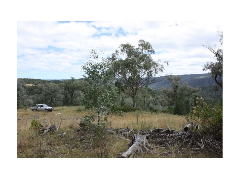 Tenterfield NSW 2372