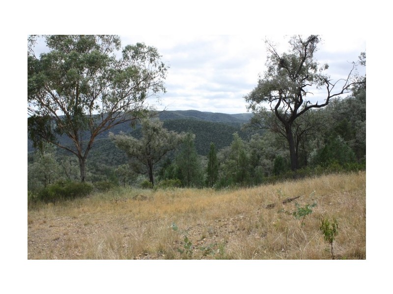 Tenterfield NSW 2372