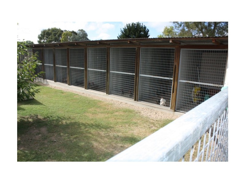 Tenterfield NSW 2372