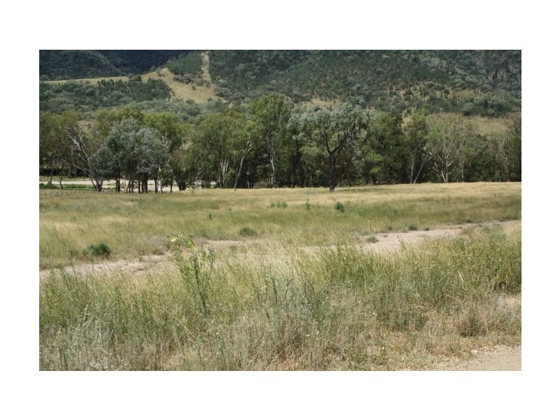 Tenterfield NSW 2372