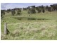 Tenterfield NSW 2372