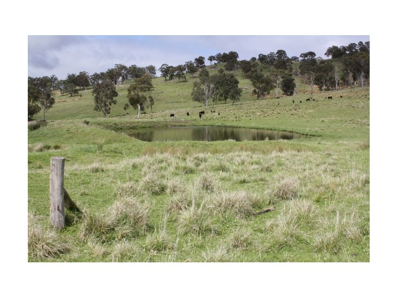 Tenterfield NSW 2372