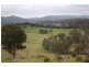 Tenterfield NSW 2372