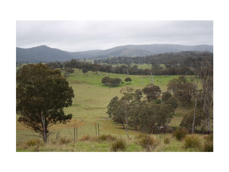 Tenterfield NSW 2372