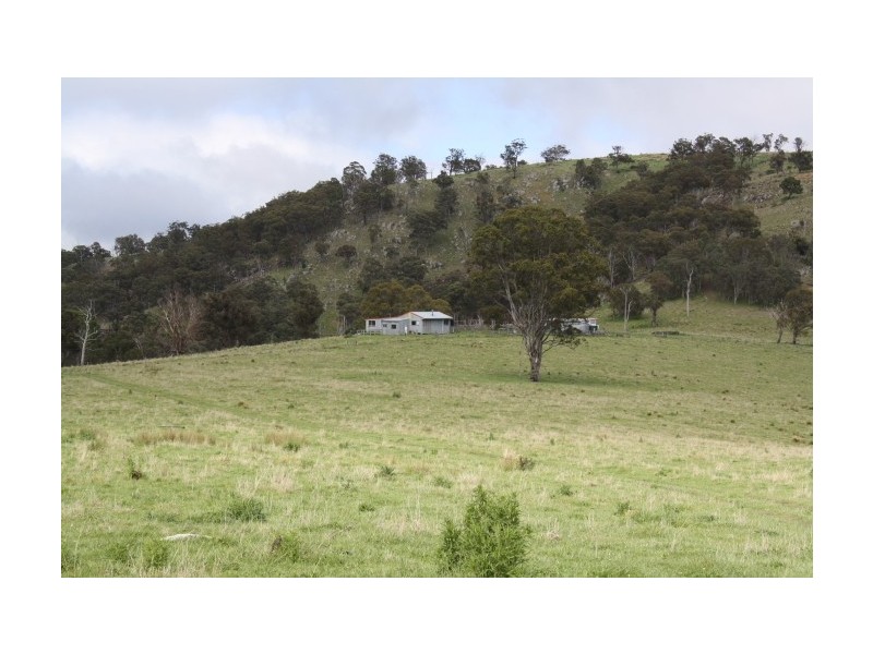 Tenterfield NSW 2372