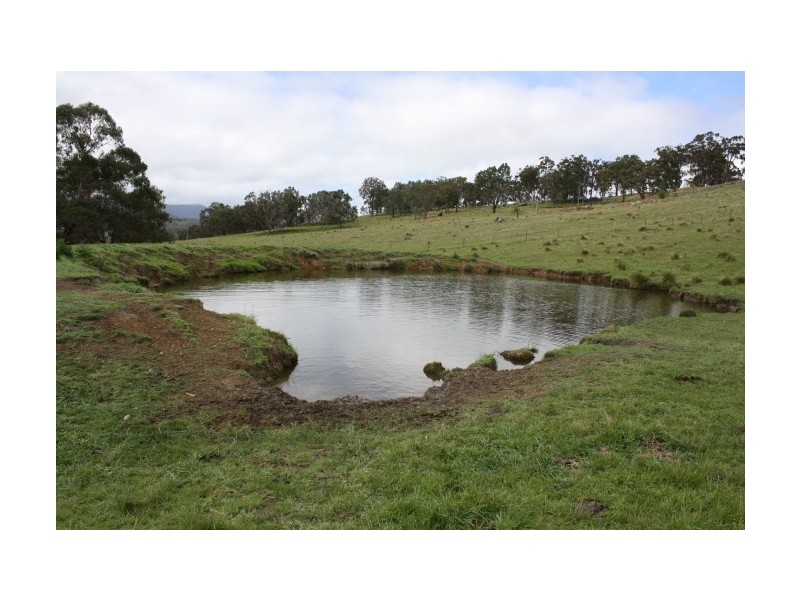 Tenterfield NSW 2372