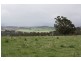 Tenterfield NSW 2372