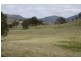 Tenterfield NSW 2372