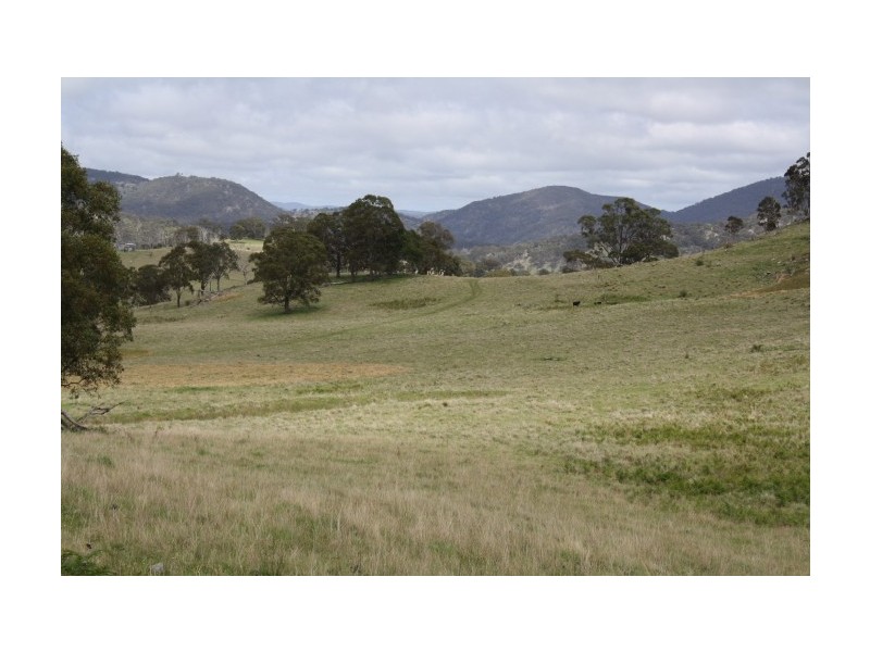 Tenterfield NSW 2372