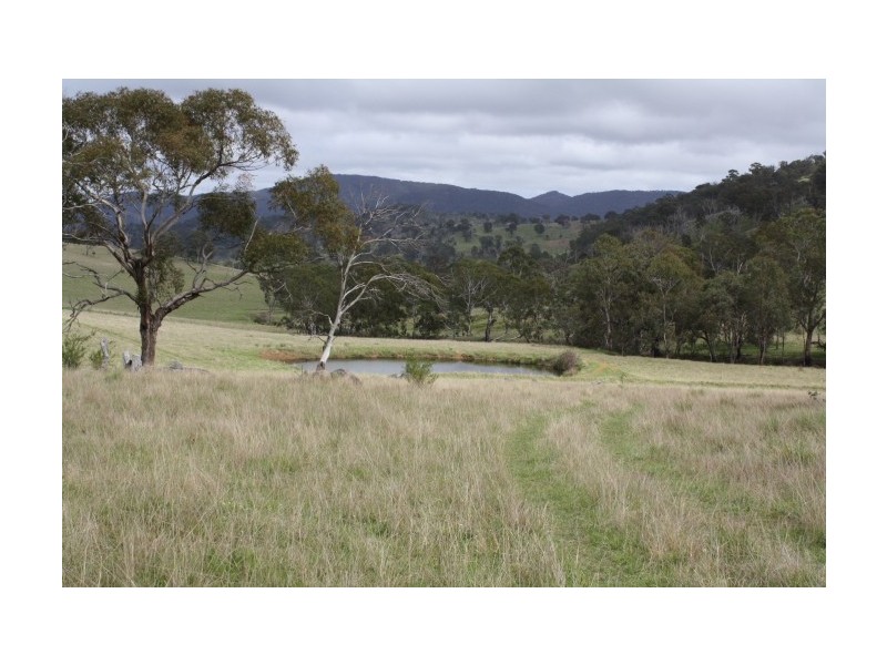 Tenterfield NSW 2372