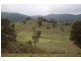 Tenterfield NSW 2372