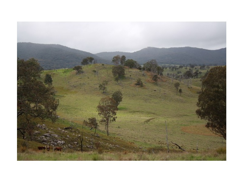Tenterfield NSW 2372