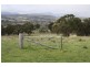 Tenterfield NSW 2372