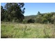Tenterfield NSW 2372