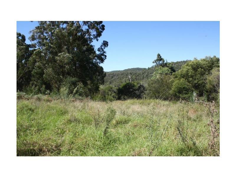 Tenterfield NSW 2372