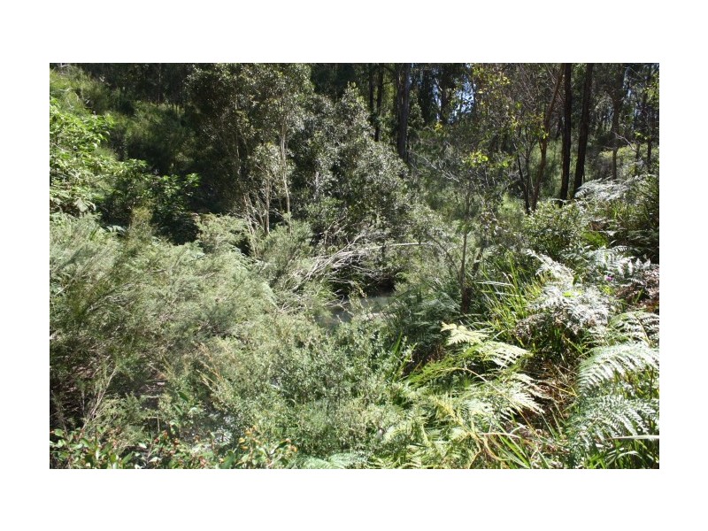 Tenterfield NSW 2372
