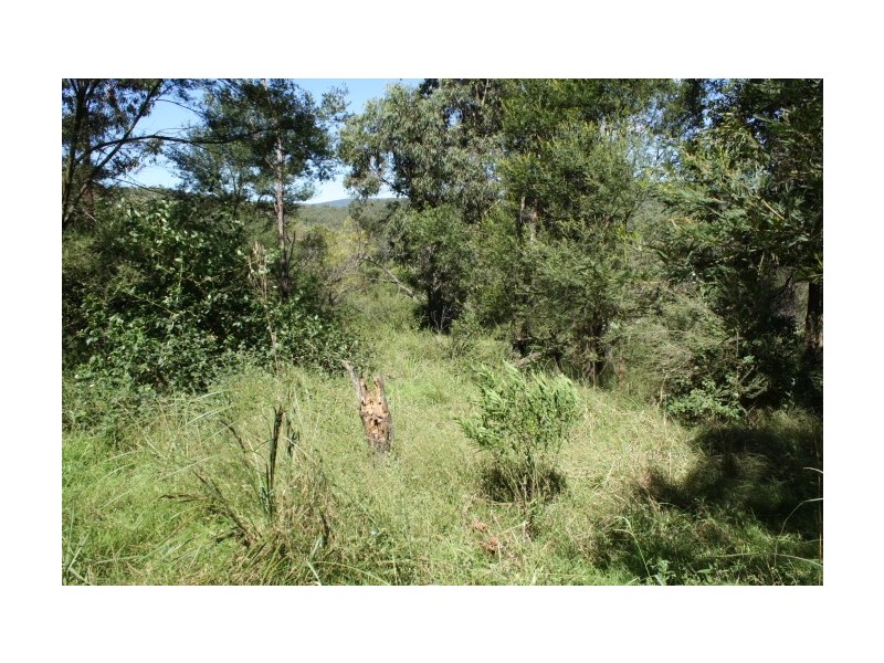 Tenterfield NSW 2372