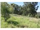 Tenterfield NSW 2372