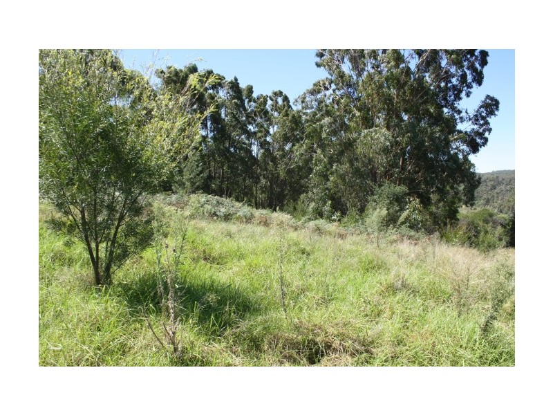 Tenterfield NSW 2372