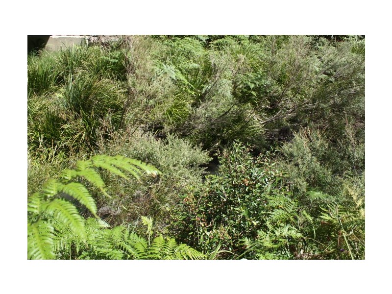 Tenterfield NSW 2372