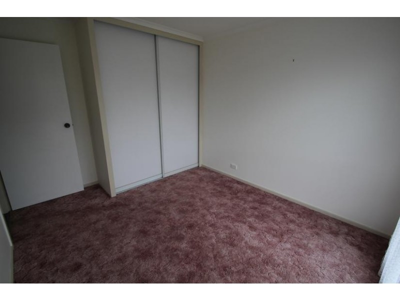 Tenterfield NSW 2372