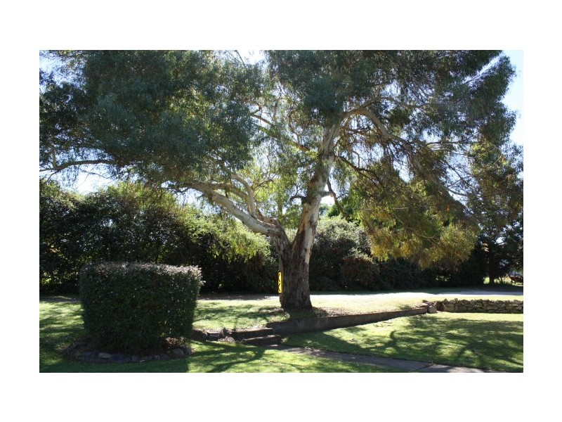 Tenterfield NSW 2372