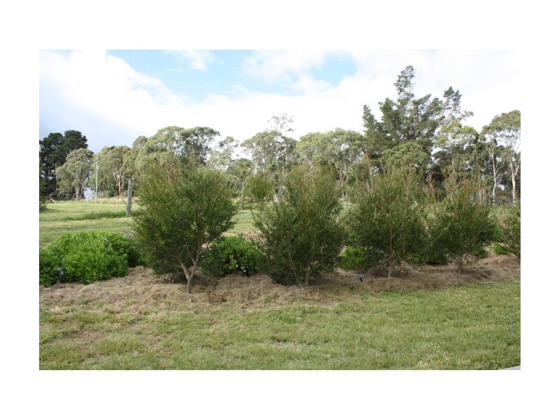 Tenterfield NSW 2372