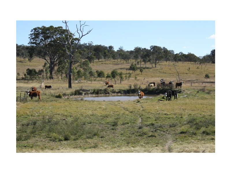 Tenterfield NSW 2372