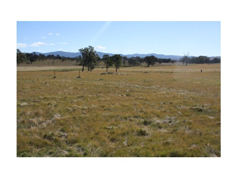 Tenterfield NSW 2372