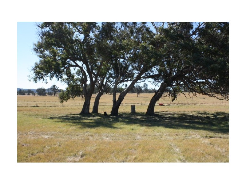 Tenterfield NSW 2372