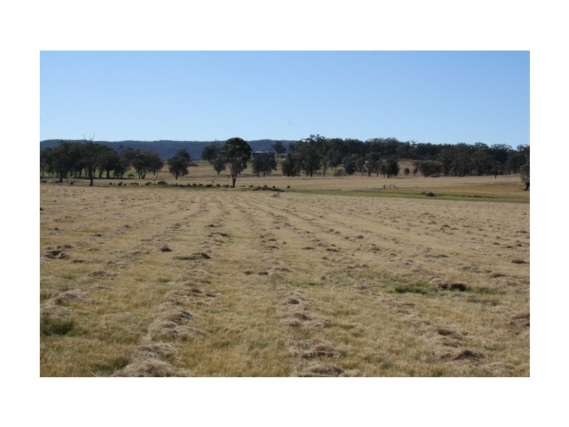 Tenterfield NSW 2372